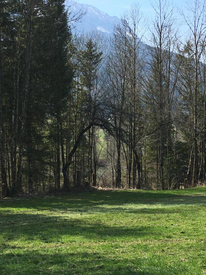 Bed and Breakfast Wengerwirt Zur Laube Weng im Gesause Esterno foto