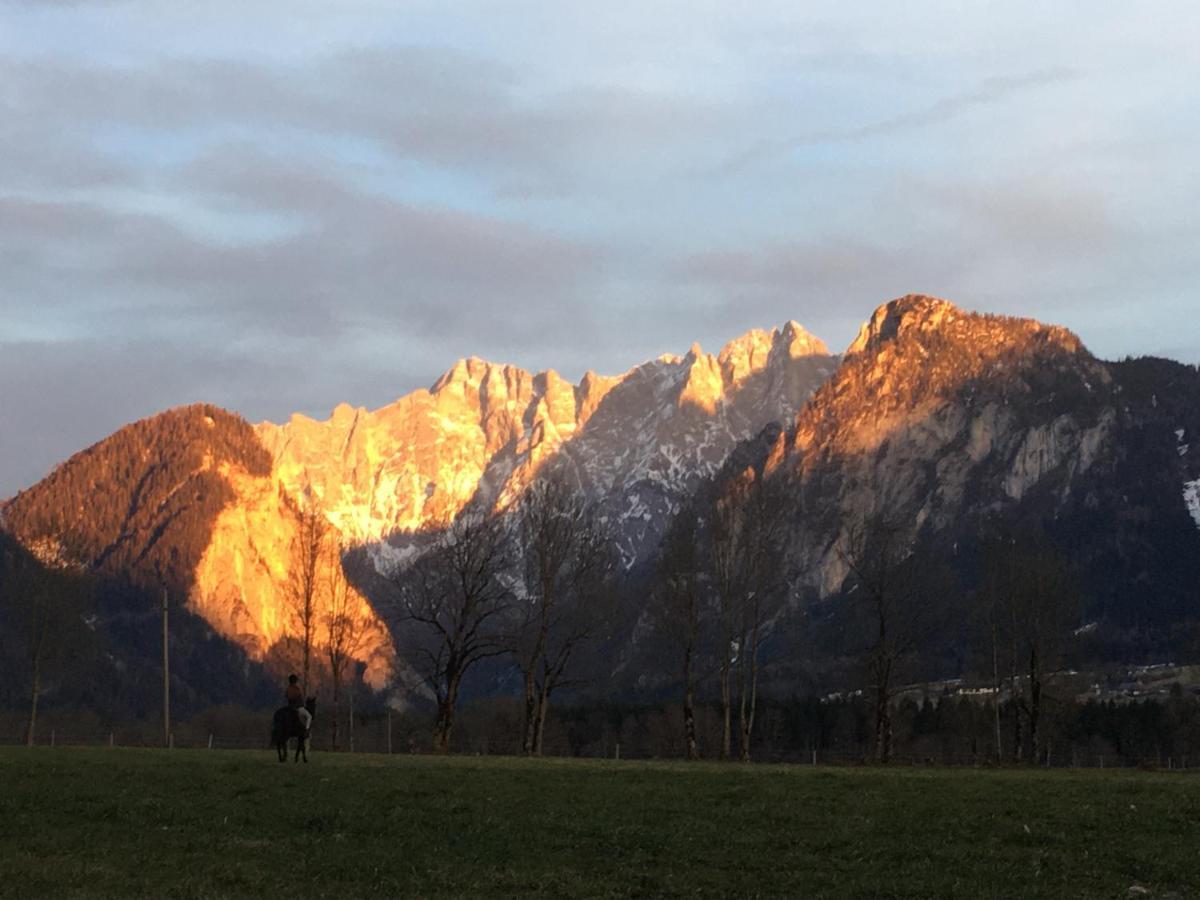 Bed and Breakfast Wengerwirt Zur Laube Weng im Gesause Esterno foto