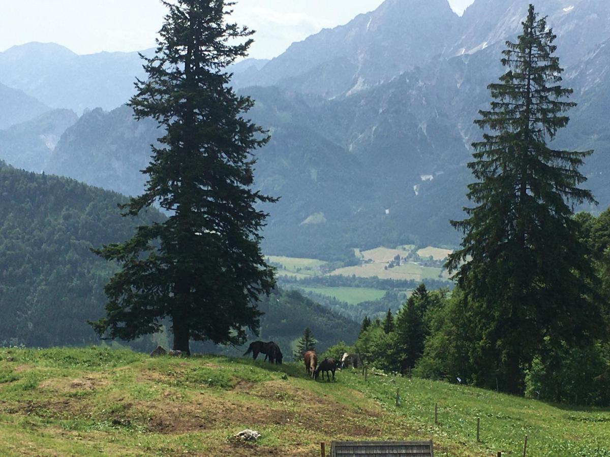 Bed and Breakfast Wengerwirt Zur Laube Weng im Gesause Esterno foto