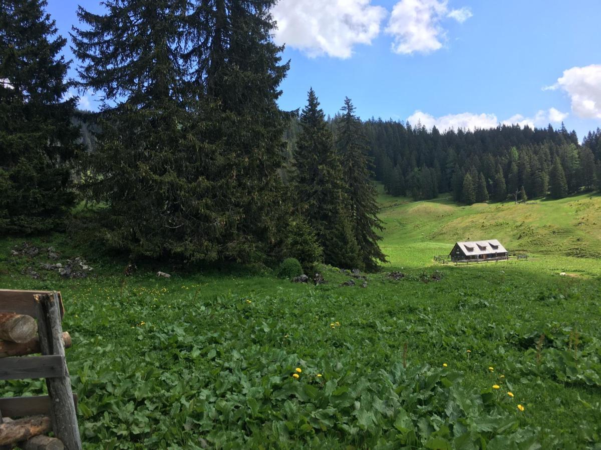 Bed and Breakfast Wengerwirt Zur Laube Weng im Gesause Esterno foto