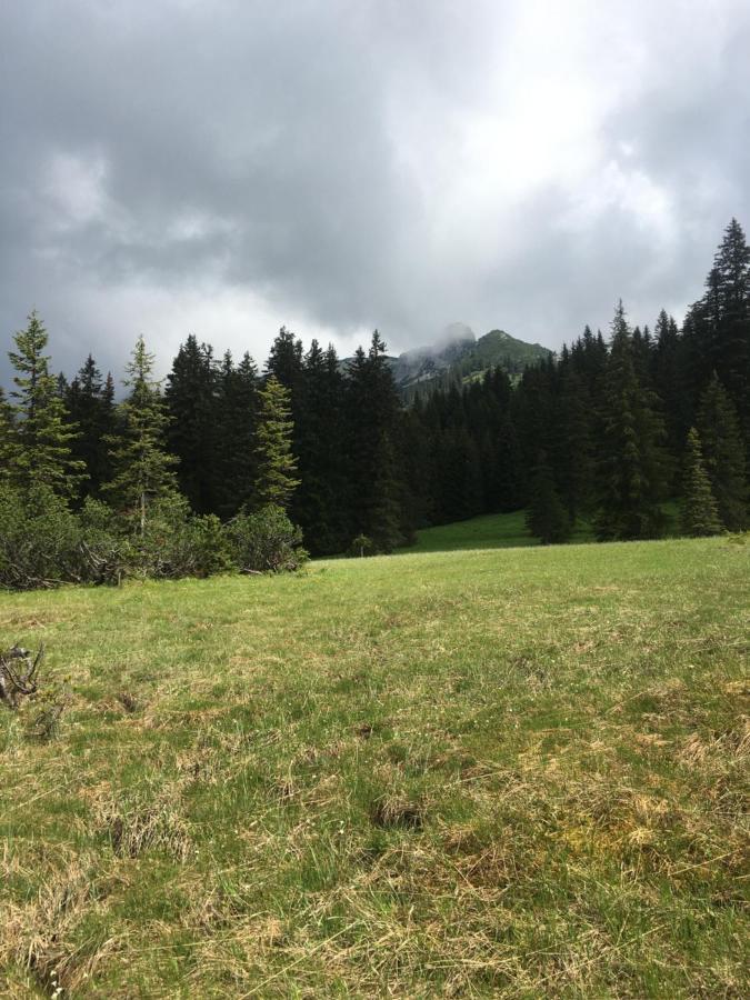 Bed and Breakfast Wengerwirt Zur Laube Weng im Gesause Esterno foto