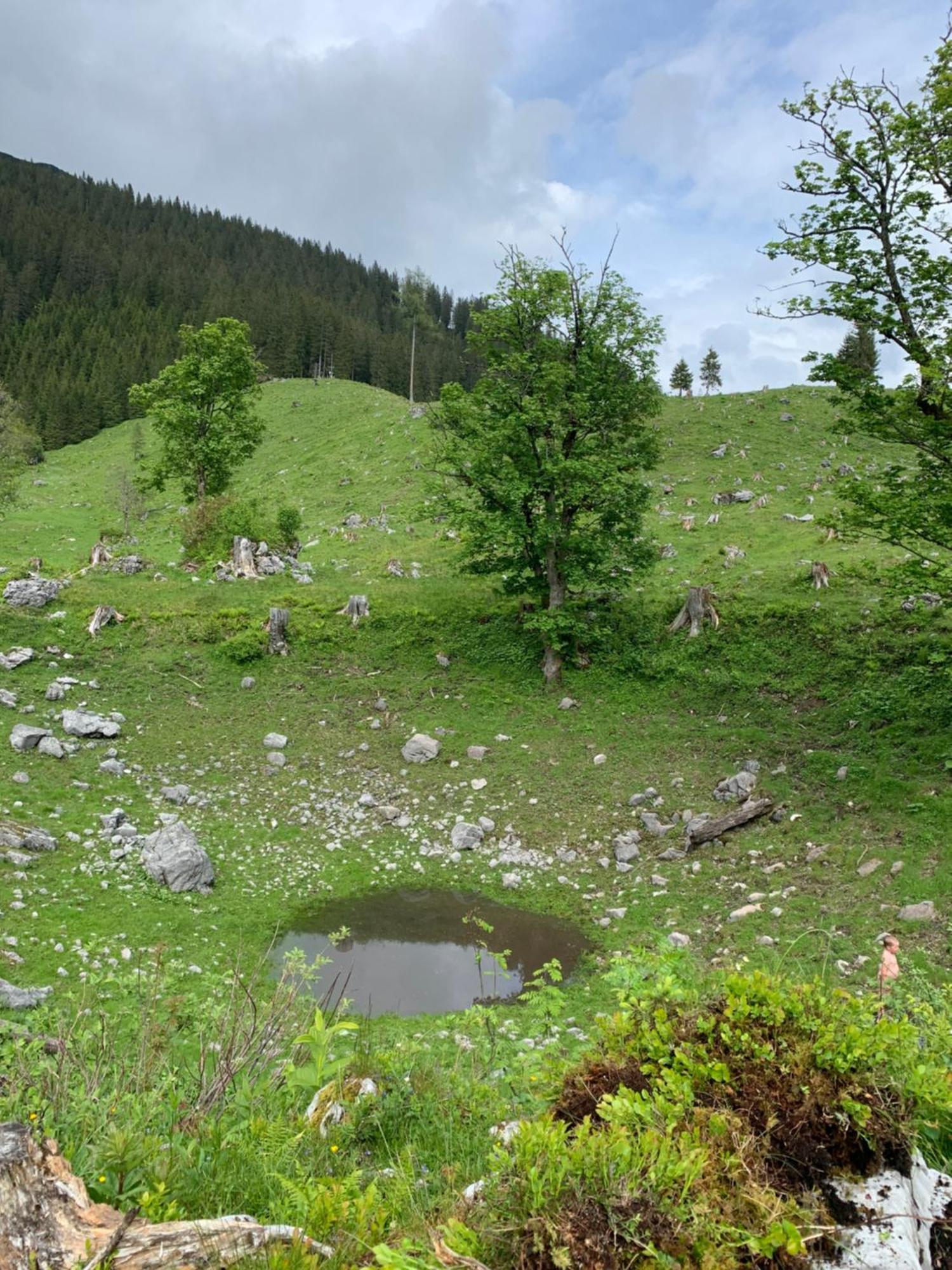 Bed and Breakfast Wengerwirt Zur Laube Weng im Gesause Esterno foto